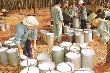 Gỡ thế khó của cao su